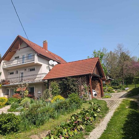 Apartments In Fonyod/Balaton 18584 외부 사진